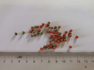 Pellet di pesce d'oro Premium piccolo stagno senza cereali cibo per pesci in sacchetti per pesci d'acquario - Product Image 3