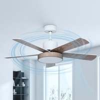Ventilateur de plafond moderne silencieux européen DC 122 cm 5 pales en acrylique avec télécommande et lumière LED dimmable DC 36V 6 vitesses compatible salon