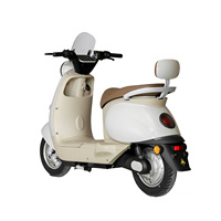 Paige 800W Vélo Électrique Sans Balais Populaire, Moto Bicicleta Eléctrica, Trottinette Électrique Pas Chère 72V pour Adulte