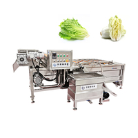 Fruitwas- en sorteermachine, Cassavewasmachine, Groentewas- en droogmachine