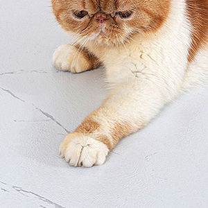 Revêtement de sol LVT PVC auto-adhésif effet marbre, <span class=keywords><strong>carrelage</strong></span> vinyle à pose sèche pour cuisine, appartement, salon, villa, hôtel, cour intérieure - Vente chaude - Product Image 2