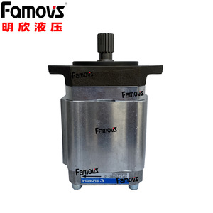 Pompe hydraulique à engrenages Famovs 16L, pompe de surpression quantitative pour usage industriel - Product Image 2