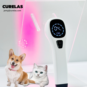 Laser Terapia Vet Dispositivo para Animais de Estimação 808nm Dispositivos Terapia Luz Vermelha para Alívio das Pain Home Light <span class=keywords><strong>Therapy</strong></span> para Cães Gatos Cavalos - Product Image 1
