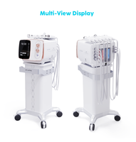 Appareil multifonctionnel de microdermabrasion à bulles, éliminateur de points noirs, jet d'oxygène, peeling facial, appareil de rajeunissement du visage
