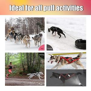 <span class=keywords><strong>Siberian</strong></span> <span class=keywords><strong>Husky</strong></span> Sledding <span class=keywords><strong>Harness</strong></span> Anjing, Rompi Tarik Reflektif Tugas Berat, Rompi X Balap, Set Anjing <span class=keywords><strong>Harness</strong></span> Anjing Sled Lembut - Product Image 3