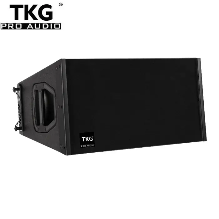 Tkg 700W 700Watt Dual 10 Inch Neodymium Magneet Db Technologieën Line Array Q1