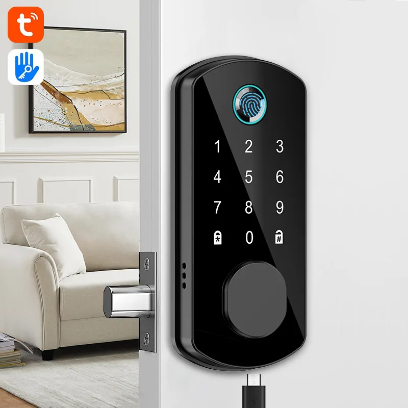 CAMAKT Bester Preis Aluminium Smart Lock TTlock TUYA Türschloss mit WLAN