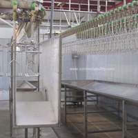 Système de convoyeur aérien complet en acier inoxydable pour abattoir de volailles avec crochets de suspension et déflecteurs de séparation
