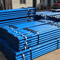 Fourniture en gros de vérins télescopiques en acier de type Moyen-Orient, adaptés aux échafaudages Ringlock, pour les grands chantiers de construction civile