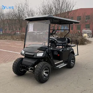 Customized 2/4/6/8 seater gas golf cart full color LED display golf hunting car comfortable Off-road golf buggy cart on sale