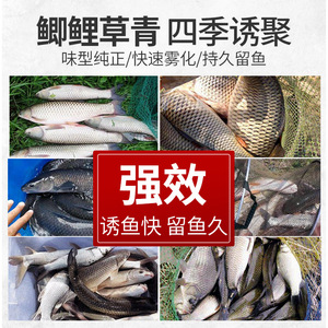Yubanzhu Block Fish Bait Red <b>Worm</b> Earthworm Flavor For Carp Grass Carp Bighead Carp Silver Carp Outdoor Fishing Bait - Product Image 5