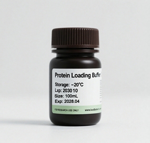 Solution de lyse <span class=keywords><strong>RIPA</strong></span> forte pour l'extraction des protéines des tissus cellulaires 100 mL - Product Image 1