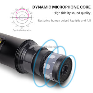 TNH UM-E2 UHF microfono Wireless uno a due ad alta fedeltà qualità del suono microfono FM conferenza domestica all'aperto dal vivo canto - Product Image 3