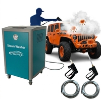 Nettoyeur vapeur pour voiture en acier inoxydable certifié CE, antirouille, longue durée de vie, 220V/380V, réservoir d'eau de 20L, 6kw/9kw