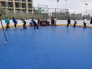 Valla <span class=keywords><strong>de</strong></span> Hockey en línea fuerte crashworthy, carcasa <span class=keywords><strong>de</strong></span> carril, parapeto <span class=keywords><strong>de</strong></span> Paling, placas <span class=keywords><strong>de</strong></span> forestación, borde <span class=keywords><strong>de</strong></span> pared <span class=keywords><strong>de</strong></span> fiesta - Product Image 6