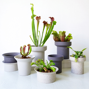 Su misura a forma di camino in ceramica vaso di fiori per la decorazione di casa giardino piccolo piatto rotondo succulento con Design dal vivo per uso esterno Desktop - Product Image 6