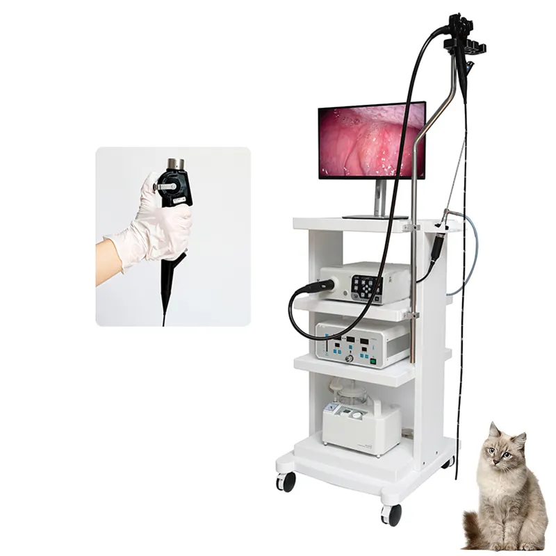 Factory Price Pet Clinic Animal Medical Gastroscopy Video Endoscopy System Veterinary Endoscope Camera Cat Dog Horse