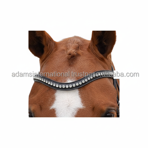 Banda de cuero de calidad superior, pelo de caballo blanco, Diamante, para cejas - Product Image 1