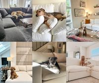 Hochdichte Schaumstoffpolsterung Haustierfreundliches Sofa für Zuhause und Büro Minimalistisches 2-Sitzer Vakuumkomprimiertes Ecksofa