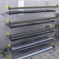 Cages et équipements d'élevage en couches pour animaux : Cage d'élevage de type A pour cailles