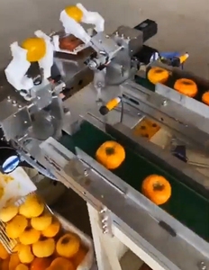 เครื่องปอกเปลือกผลไม้แบบสองสถานี ป้อนผลไม้อัตโนมัติ เครื่องปอกเปลือกผลไม้ไฟฟ้า - Product Image 6