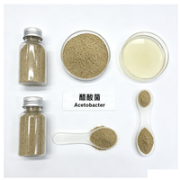 Poudre de démarrage de fermentation alimentaire Acetobacter 10 milliards UFC/g – Bactéries acétiques pour la fabrication de vinaigre industriel et la conversion acétique