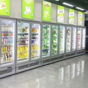 Congélateur vertical pour le marché brésilien, présentoir pour bols d'açaï, fruits tropicaux, plateaux de fromages, pizzas surgelées |   Verre nano antibactérien -25C - Product Image 6