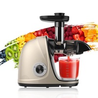 Hete Verkopende Kauwpers Appelwortel Sinaasappel Fruitafzuigers Professionele Slowjuicer Koude Persmachine