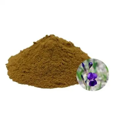 Hot sale Oregano Extract powder Natural Origanum vulgare Extract 10:1