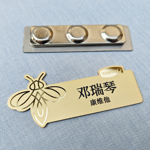 Op maat gemaakte gouden naambadges met gegraveerde pin, blanco roestvrijstalen geborsteld metaal, milieuvriendelijk zeefdrukwerk - Product Image 4
