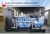 200kW Biokraftstoff-Gas Erdgas Wassergekühlter 380V 50Hz Generator mit ATS Automatisches Schutzsystem Günstiger Gasgenerator