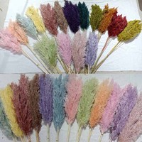 Set 20 Vas Estetis Rumput Pampas Kering Putih yang Diawetkan Gaya Vintage Farmhouse untuk Ruang Tamu Kamar Tidur Kamar Mandi