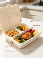 Boîte à emporter durable, biodégradable et compostable, boîte à lunch jetable avec couvercle, vente en gros, personnalisable, qualité alimentaire