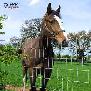Ограждение для фермы проволочное ограждение из проволочной сетки оцинкованное ограждение для фермы - Product Image 3