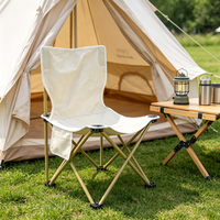 Chaise de camping pliable légère et portable sans accoudoirs pour adultes et enfants, idéale pour la pêche, la randonnée, la plage et le jardin
