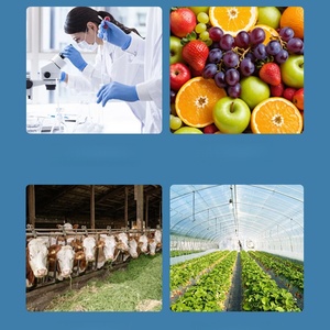 เครื่องปลอกเปลือกมะพร้าวสีเขียวเครื่องปอกเปลือกผลไม้แตงโมผิวสับปะรดฟักทอง - Product Image 2