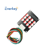 Égaliseur d'équilibrage de batterie Enerkey 5A 3S 4S 12V Lithium Balancer Lipo Li-ion LFP lto LiFePO4 5a condensateur égaliseur