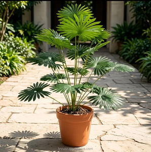 Palma Areca Artificiale/Palma a Ventaglio in Vaso 65-90cm, Foglie Verdi Folte, Tronco in Plastica Riciclabile, Decorazione Tropicale per Hotel e Casa - Product Image 4