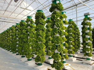 Sistema di Coltivazione Verticale Idroponico a 9 o 12 Livelli <span class=keywords><strong>per</strong></span> la Coltivazione Indoor di Verdure e Fiori - Product Image 4
