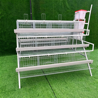 Cages à poules pondeuses économiques et très satisfaits de la qualité, équipement d'élevage avicole pour le Ghana