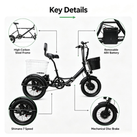 Tricycle électrique pliable 16 pouces 48V 350W à cadre bas, 3 roues, vélo cargo électrique avec panier, 7 vitesses, frein à disque pour adultes