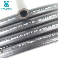 Tuyau en caoutchouc industriel haute pression EN 1762 NBR 5/16 pouce pour gaz naturel, GPL, GNC, GNL, eau, carburant, huile, pompe, compresseur