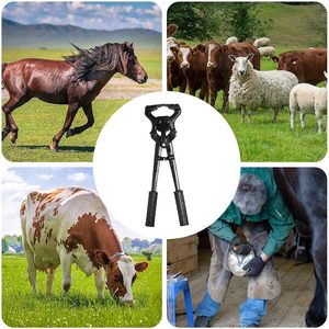 Meilleures pinces à sabots pour éleveurs, coupe-sabots pour bétail, parfaites pour les chevaux, les vaches, les chèvres et les moutons, tenailles à parer - Product Image 2