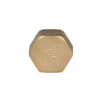 Bouchon de tuyau hexagonal en laiton à filetage femelle BSP/NPT, embout de tuyau en laiton forgé à filetage femelle pour système de plomberie eau et gaz