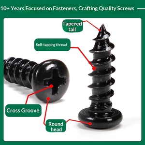 Vis autotaraudeuse à tête ronde en acier inoxydable nickelé galvanisé, fente cruciforme, métrique niveau 6.8, M2 M3 <span class=keywords><strong>M4</strong></span> - Product Image 2