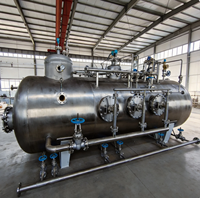 Maßgefertigter Brator WYS-25 220V 304/316L/2205/2507 Öl-Wasser-Abscheider mit 1 Jahr Garantie, ExdllBT4 Explosionsgeschützt, Rückspülung 25m/h