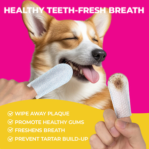 Natuurlijk Ingrediënt Alcoholvrije Oorreiniging Van Huisdieren Vingerdoekjes Oordoekjes Kattenhond Oordoekjes Voor Hondenkat - Product Image 3