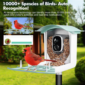 Mangeoire à oiseaux solaire intelligente avec caméra HD, reconnaissance IA, vision nocturne, étanche, mangeoire automatique pour l'observation des oiseaux - Product Image 2