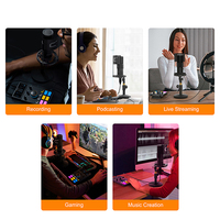 Interface audio intégrée polyvalente mini, streaming double utilisateur, suppression du bruit, bouclage, effets sonores multiples, carte son 100dBA
