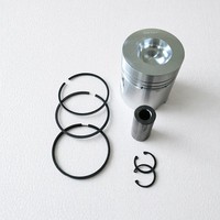 Kit de pistons FL912 pour moteur diesel de machines de construction Deutz, pièces détachées 912, kit de pistons 0423 8252, 0423 1726, 0415 4891